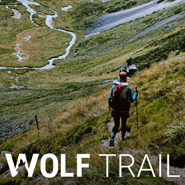 Immagine della campagna lungo il&nbsp;Wolf Trail