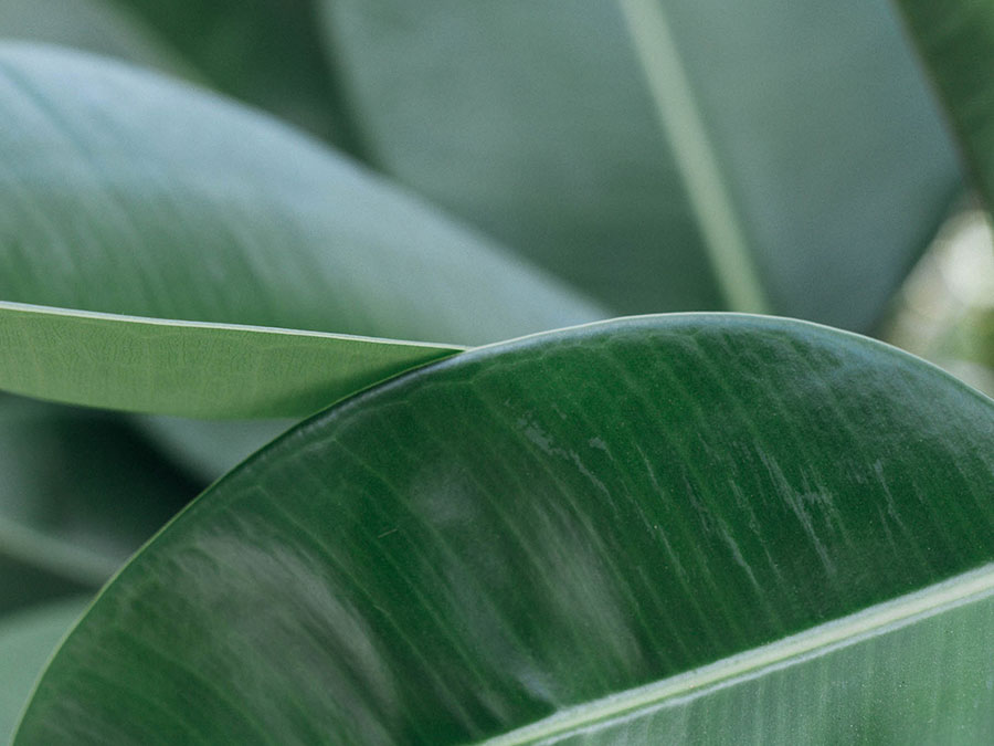 Protezione dell’ambiente