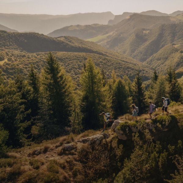 Ripresa col drone di quattro escursionisti in abbigliamento estivo in un paesaggio montano boscoso