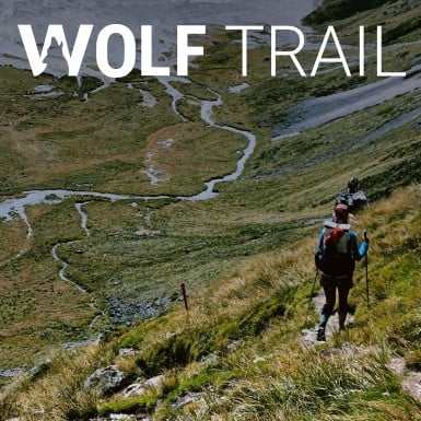 Immagine di categoria per Wolf Trail