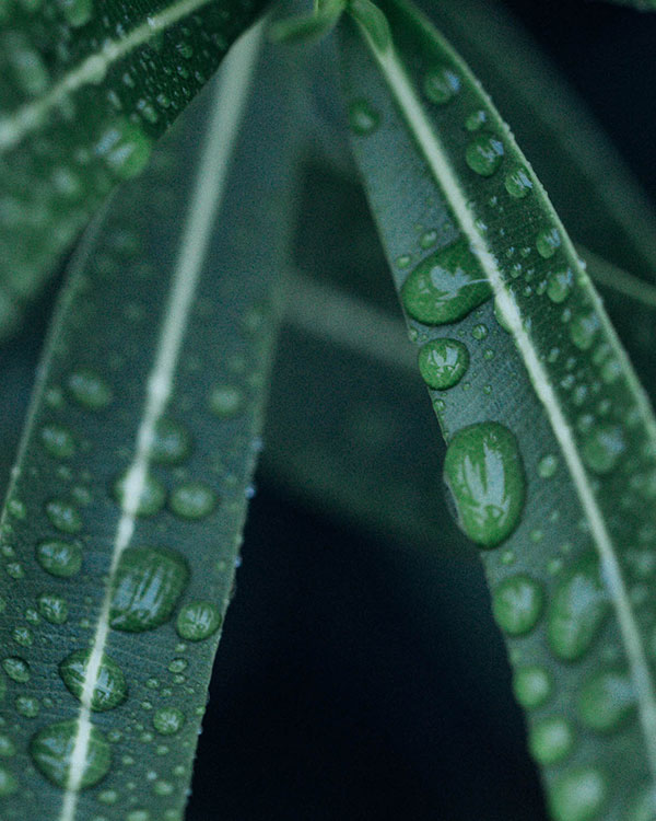 Protezione dell’ambiente