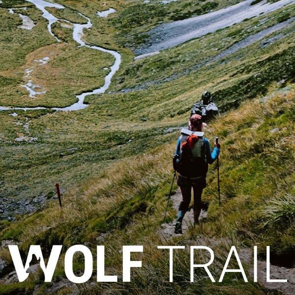 Kampagnenbild für den Wolf Trail
